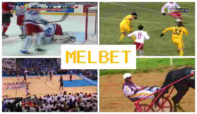M4LBET 💶 Sportsbook Company, Official Site, Bonuses and Free Bets, Registration