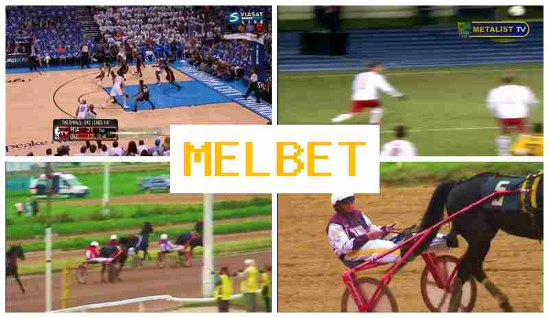 MEOBET 💷 Online Sportsbook, Online, Free Bets, Official Website