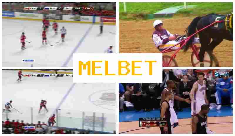 MELVET █ Live Sports Bets, Virtual with High Odds