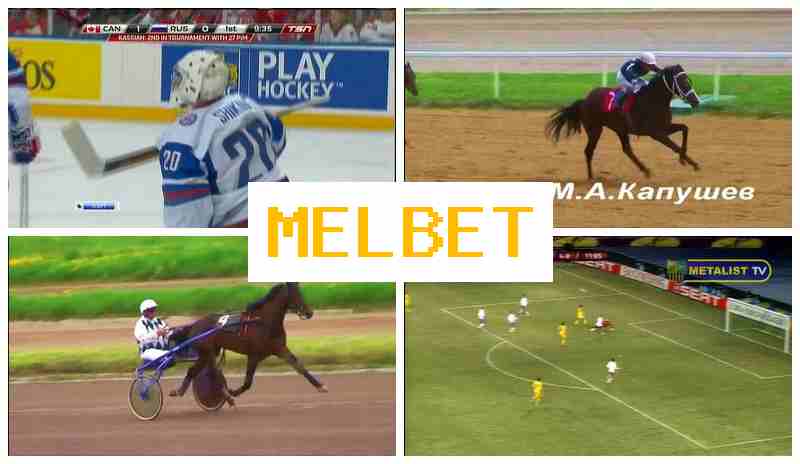 MELBST 👍 Betting Site Online, Enter Official Platform, Create Account, Wager on Sporting Events