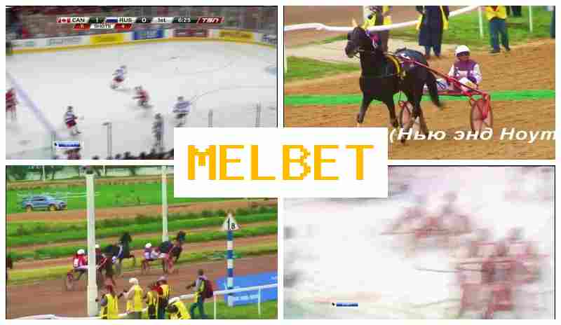 EL BET ▒ Live Sports Bets, First Deposit Offer