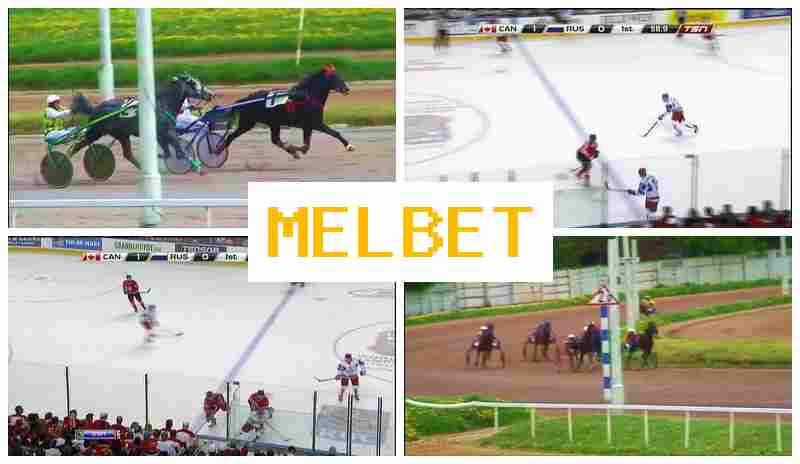 MEEL BET 💴 Online Sports Bets, Sign-Up Bonus, Official Website of the Betting Company