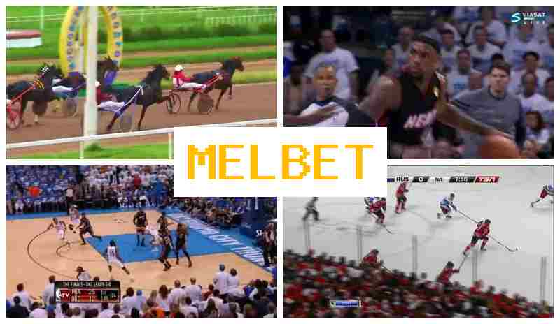 MELET 🌟 Bookmaker Company, First Deposit Bonus, Official Website of the Bookmaker
