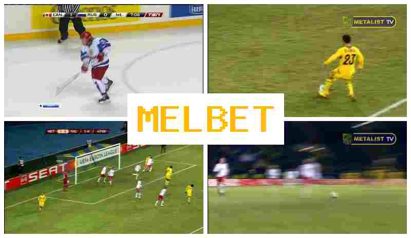NEL BET 🆓 Betting Office