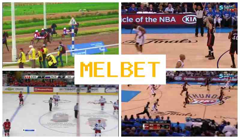 M3L BET ⚡ Betting Office, Free BetBetting on Sports