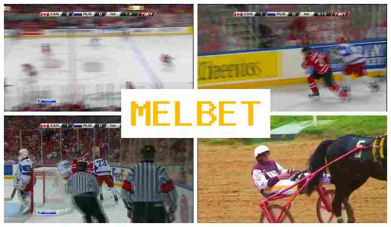 MSL BET ⚡ Bookmaker Online, Sign-Up Bonus, Wager on Sporting Events