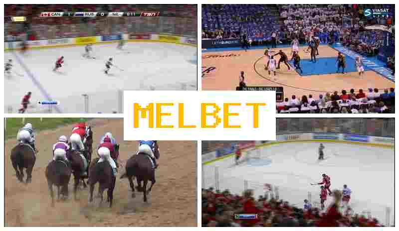 MEL VET 🔷 Sportsbook Company, Official Site, Registration