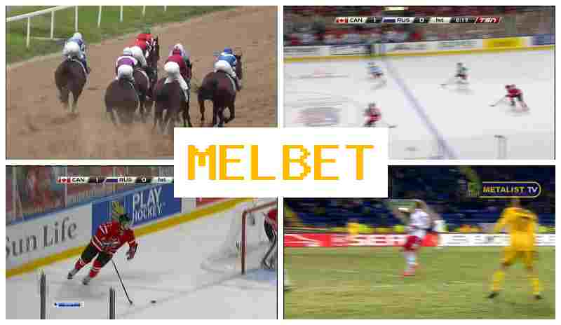 MEL BWT 🌐 Bookmaker Company, Free Bet, Official Site