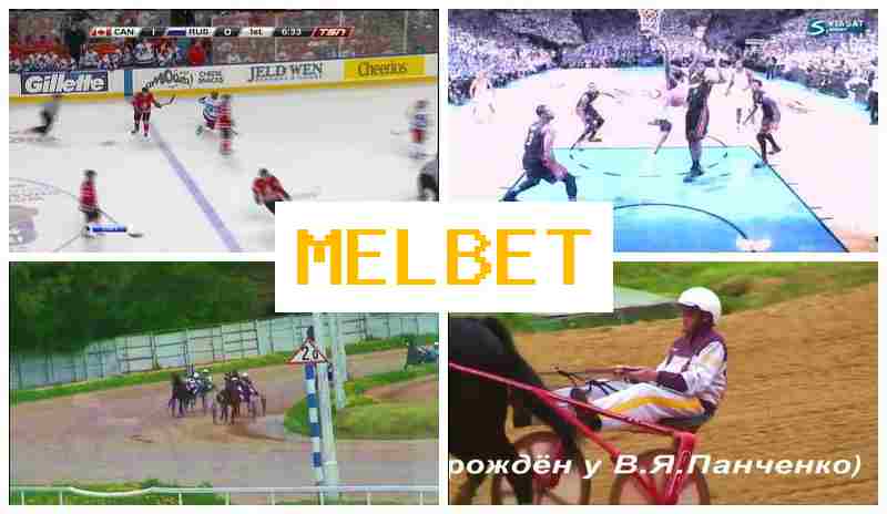 MEL B3T 🆕 Sports Betting, Virtual, Promotions and Bonuses, Official Site