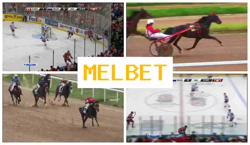 MELBETCOM ▓ Sportsbook, Free Bet, Official Site