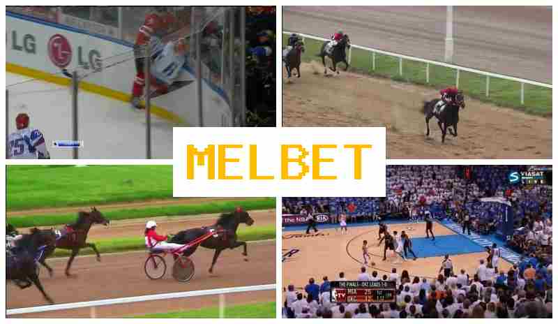 MEL BEF 💸 Online Sports Bets, Special Offers and Rewards, Official Site