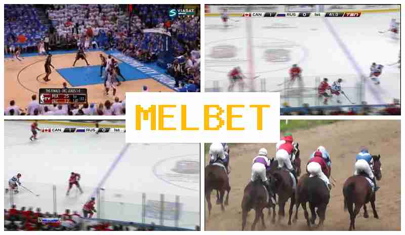 MLEBET 🔔 Betting Operator