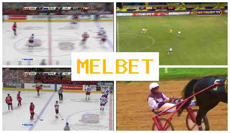 MELEBT 🔸 Online Betting Company, Sign Up, Enter, Place Sports Bets