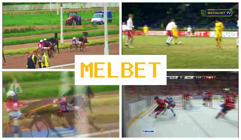NELBET 🔶 Online Bookmaker, Access Official Site, Create Account, Bet on Sports