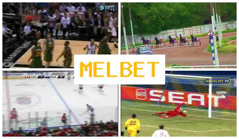 JELBET 🔶 Top Betting Company Online, Join Now, Enter, Live Sports Bets