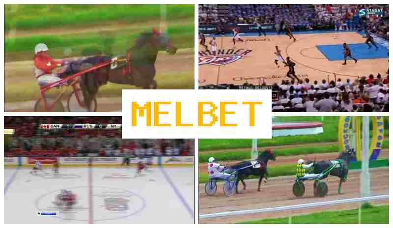 M3LBET ⚽ Place Bets on Sports, Virtual with High Odds