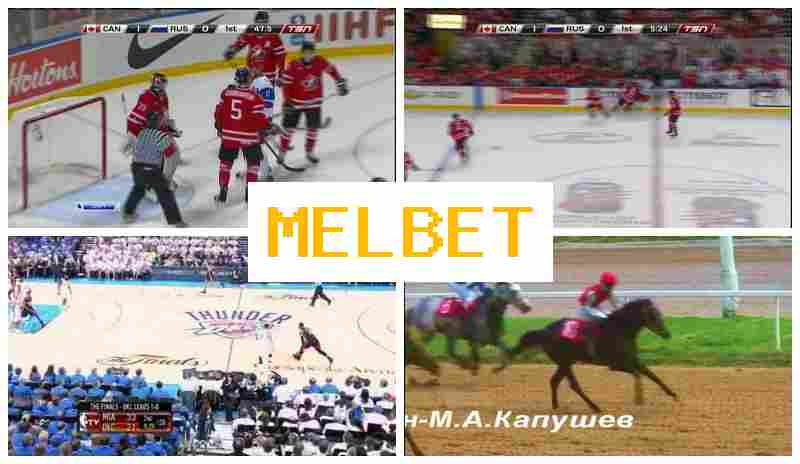MSLBET ☑️ Place Bets on Sports, Online with Competitive Odds