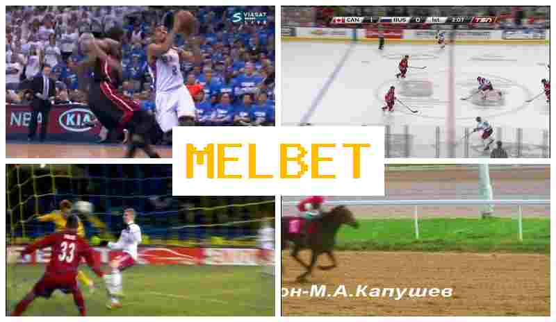 MELVET 🆕 Wager on Sports Events, Official Page