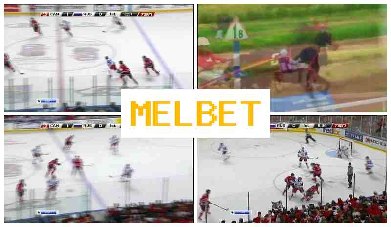MELGET 💲 Place Bets on Sports, Bonuses and Free Bets, Official Website