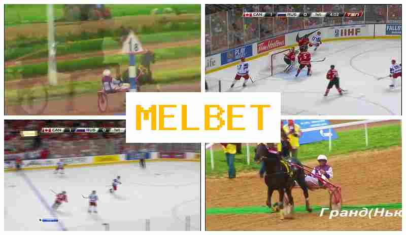 ELBET ⚡ Sports Betting, Internet with High Odds