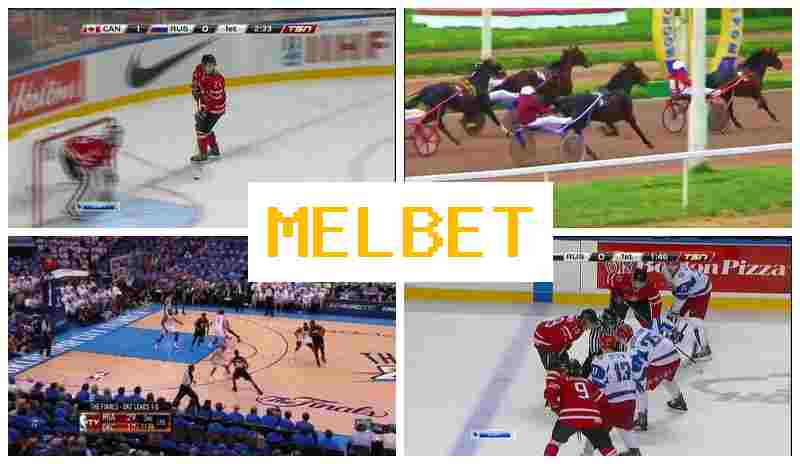 EL BET 🏀 Sporting Event Bets, Web Betting, Authorized Sportsbook Site