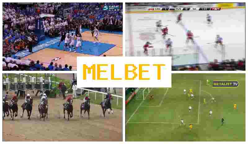 MEEL BET 🎾 Official Bookmaker Platform, Bet on Sporting Events, Free Bets and Rewards