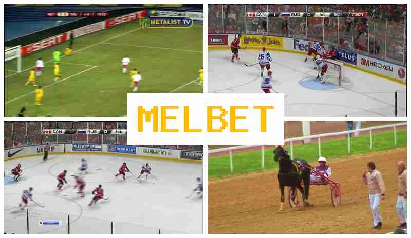 MELET 🔷 Online Bookmaker, Registration Bonus, Official Site