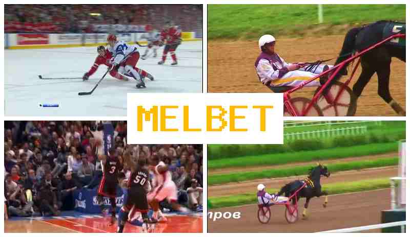 NEL BET ⚡ Online Sports Bets, Registration Bonus
