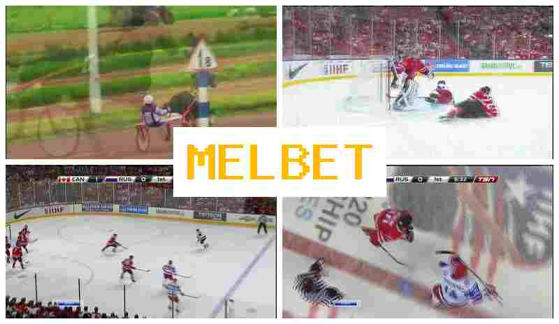 JEL BET 🔵 Online Sports Wagering, Digital Sports Bets