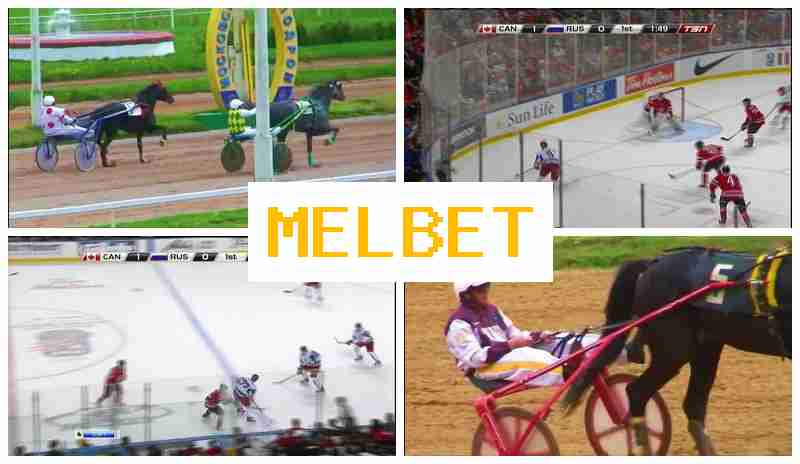 KEL BET ▓ Live Sports Betting, Free Bets and Bonuses, Official Site