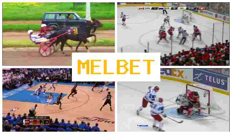 MDL BET 💴 Bookmaker Online, Registration Bonus, Live Sports Betting