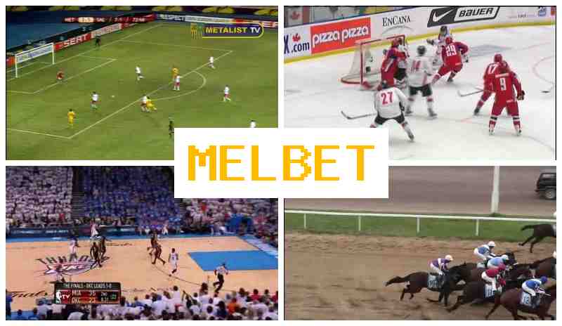 MSL BET 🔷 Online Betting Platform Online, Register, Access Official Site, Bet on Sports Events