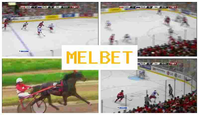 MEK BET 🏀 Place Bets on Sports, Promotions and Bonuses, Official Bookmaker Site