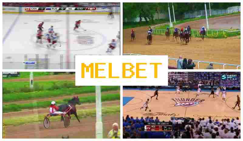 MEL VET 🔵 Bet on Sports, Internet Betting, Special Offers and Rewards, Official Website