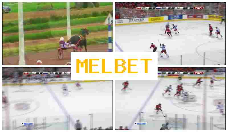 MEL NET ☑️ Trusted Online Bookmaker, Sign Up, Access Official Site