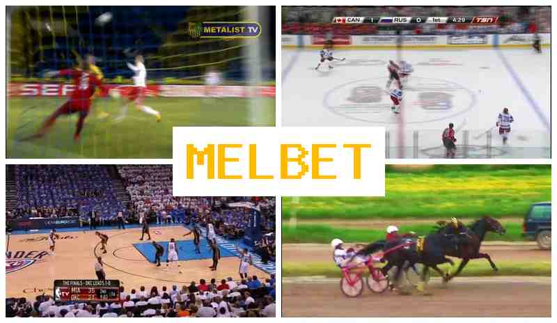 MEL B4T 🌐 Bookmaker Platform, Online