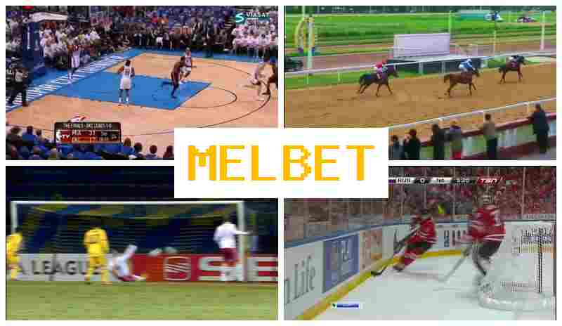 MEL BEY 🏆 Bookmaker Company
