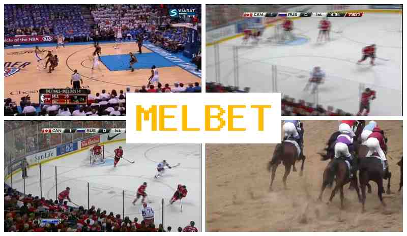 MEELBET ✔️ Bookmaker Company, Free Bet for Signing Up
