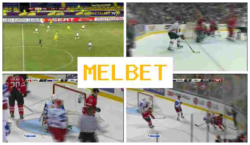 NELBET 🔸 Sportsbook, Online, Free Bets