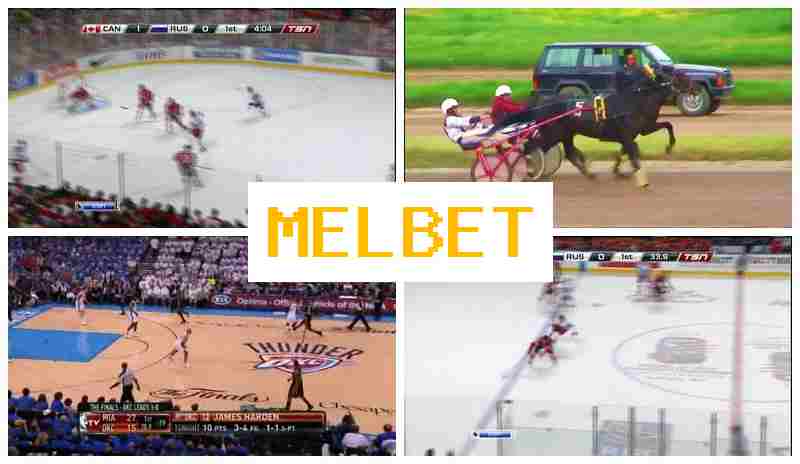 ,ELBET 🆕 Place Bets on Sports, Digital Sports Bets, Bonus Offers, Official Bookmaker Site