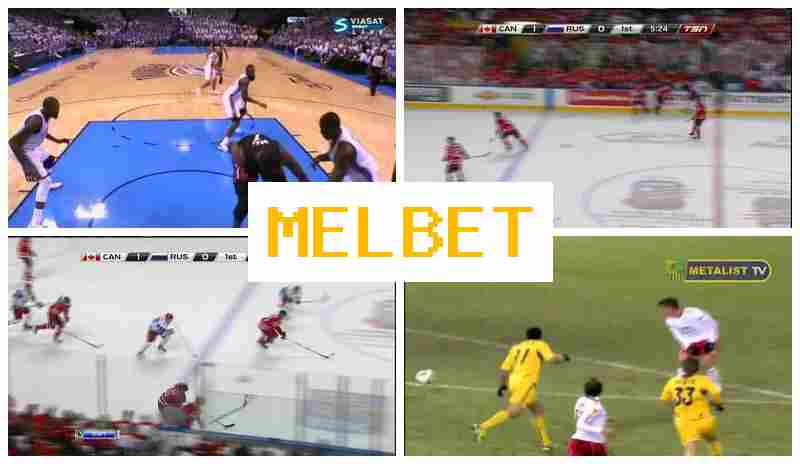 MSLBET 🏆 Online Sportsbook, Online