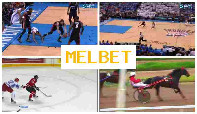 MEOBET 🌟 Bet on Sporting Events, Promotions and Bonuses, Official Bookmaker Site