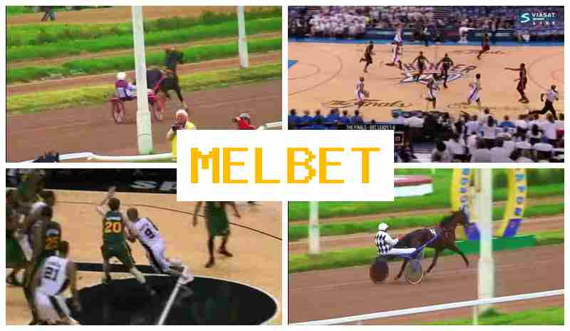 MELVET 🆕 Sporting Event Bets, Web Betting, Deposit Bonuses and Rewards, Official Bookmaker Website