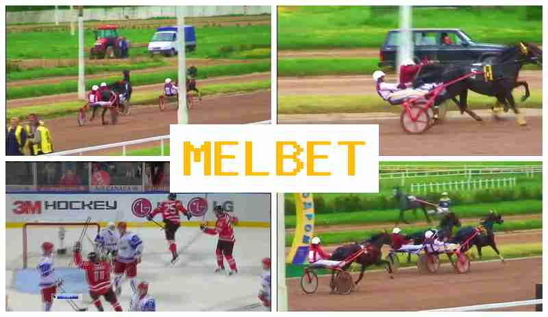 MELGET 👍 Official Bookmaker Online, Register, Enter, Live Sports Bets
