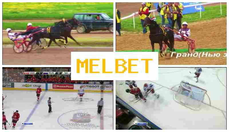 MELBE5 ⚾ Wager on Sports Events, Official Portal