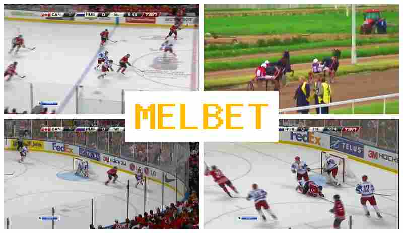 MLE BET 🆓 Online Bookmaker, Official Site, Registration