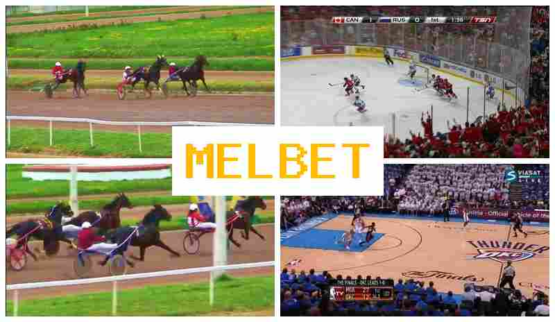 MRL BET ⚡ Betting Platform, Official Site, Promotions and Bonuses, Registration