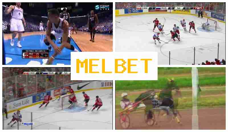 MDL BET 🆓 Top Betting Platform, Register, Access Official Site, Wager Online