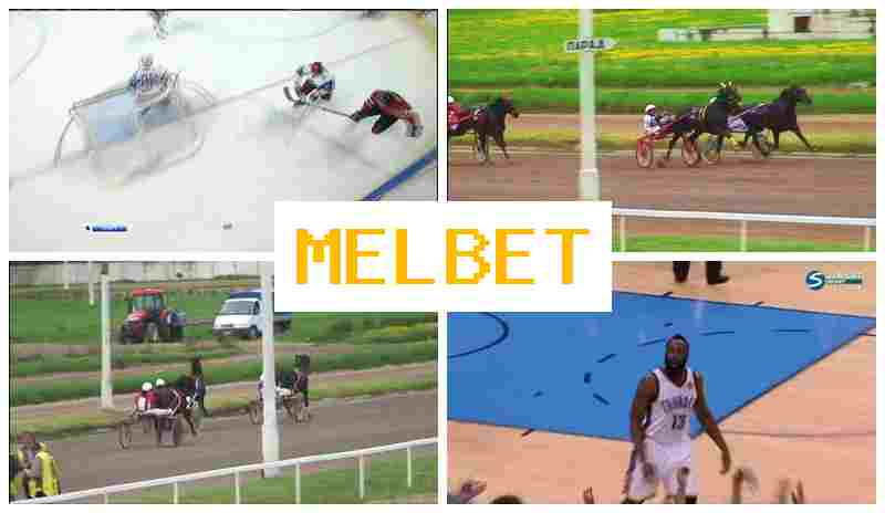 MSL BET 💸 Wager on Sporting Events, Online with High Odds