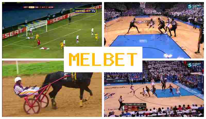MEO BET ▒ Verified Sportsbook, Official Website, Special Offers and Rewards, Sign Up